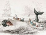sperm-whale-whaling-se40