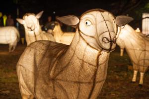 phillip-wong-lantern-festival-fje8jr1