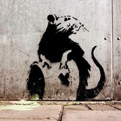 d38dbe5314d6ea37e10f1b78233870ee