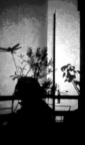 owp au travail ombre de lui meme dans la lumière semi penombre 2