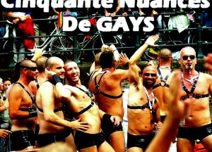 50 nuances de gay2s