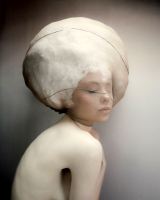 Cocon-IChapuis-5 oli